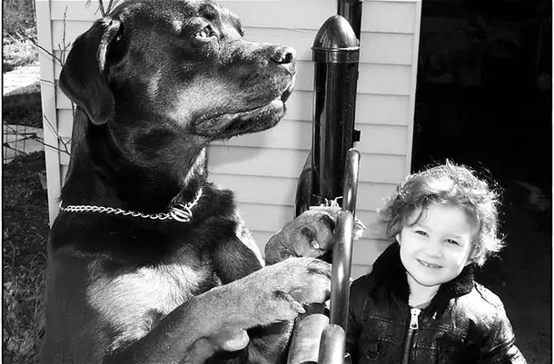 Rottweiler with a kid