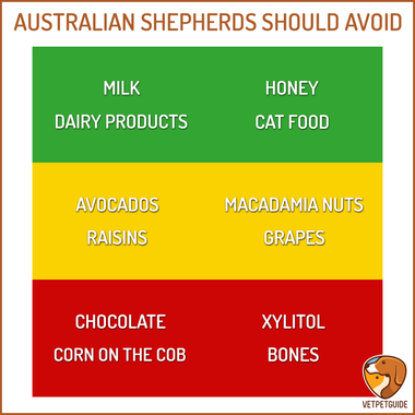 can a australian shepherd eat slim jim