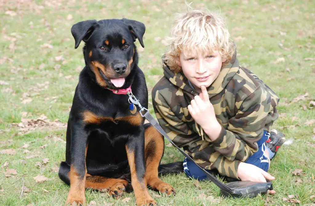 A KID WITH A ROTTWEILER