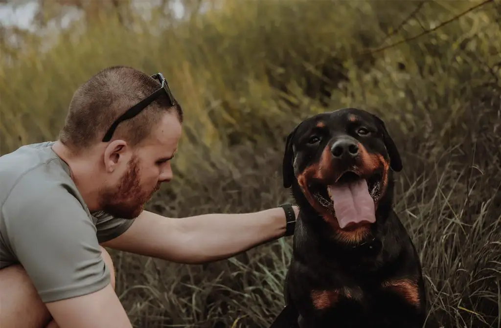 ROTTWEILER WITH A MAN